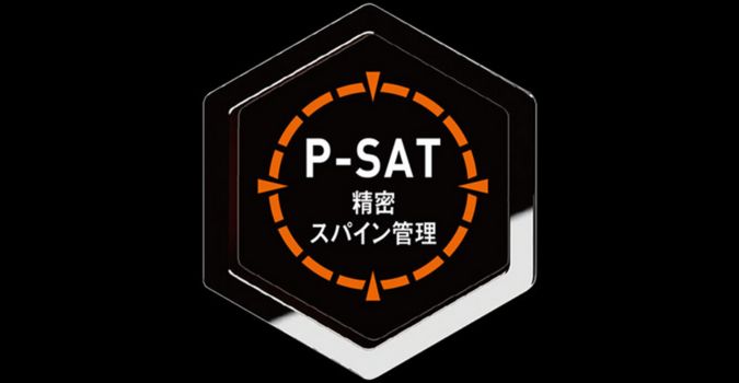 P-SAT Precision Spine Control